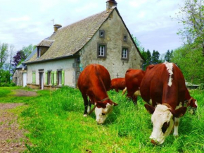 Gîte Tauves, 5 pièces, 8 personnes - FR-1-630-88, Tauves